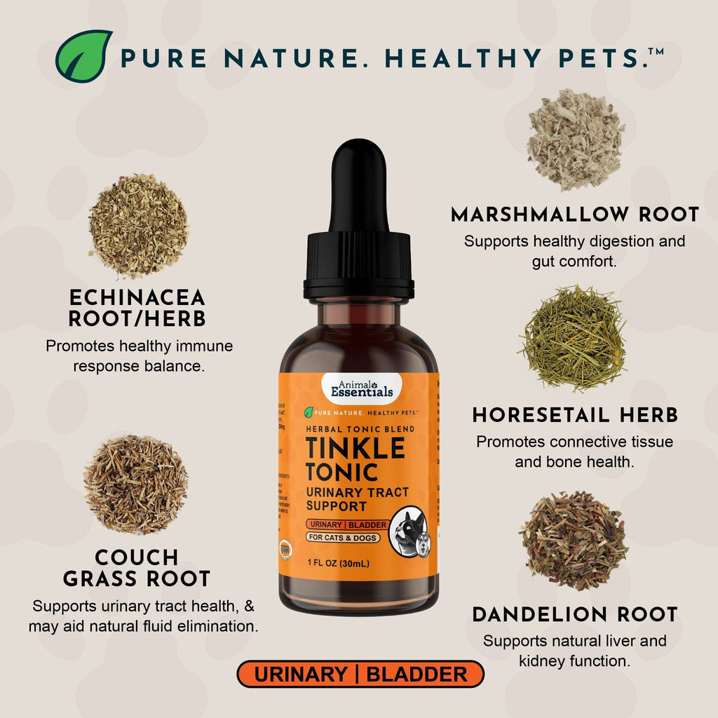 Tinkle Tonic Herbal Tonic Blend | Urinary Tract Support