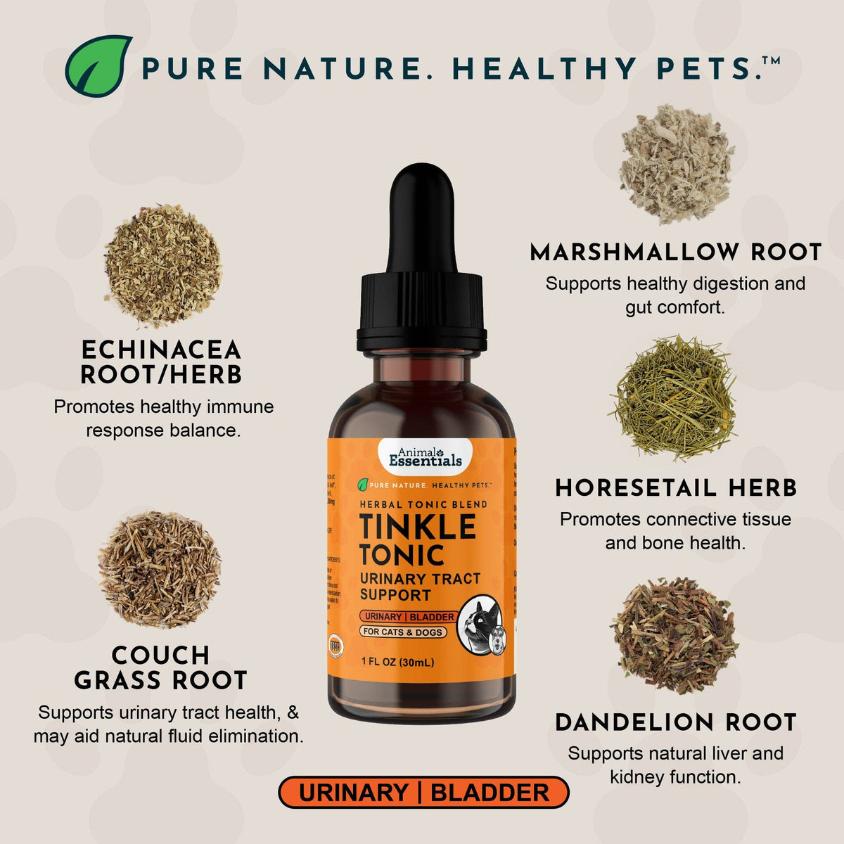Tinkle Tonic Herbal Tonic Blend | Urinary Tract Support