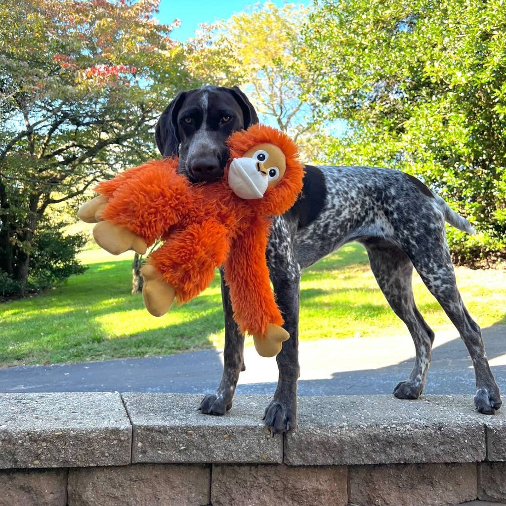 Orangutan Rope Body Dog Toy