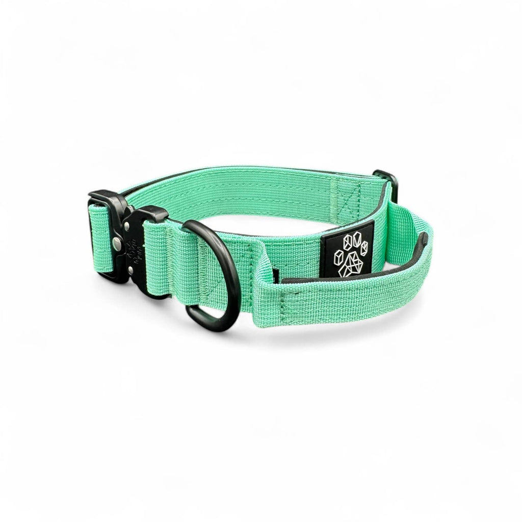 Mint Tactical Style Dog Collar