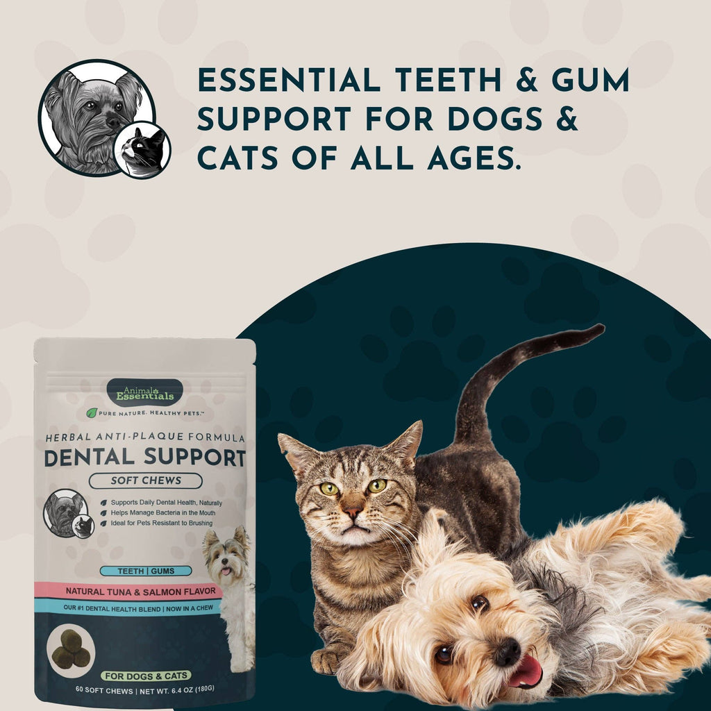 (Sea-dent) Dental Support Herbal Soft Chews | Herbal Anti-Plaque Formula | 60 Count
