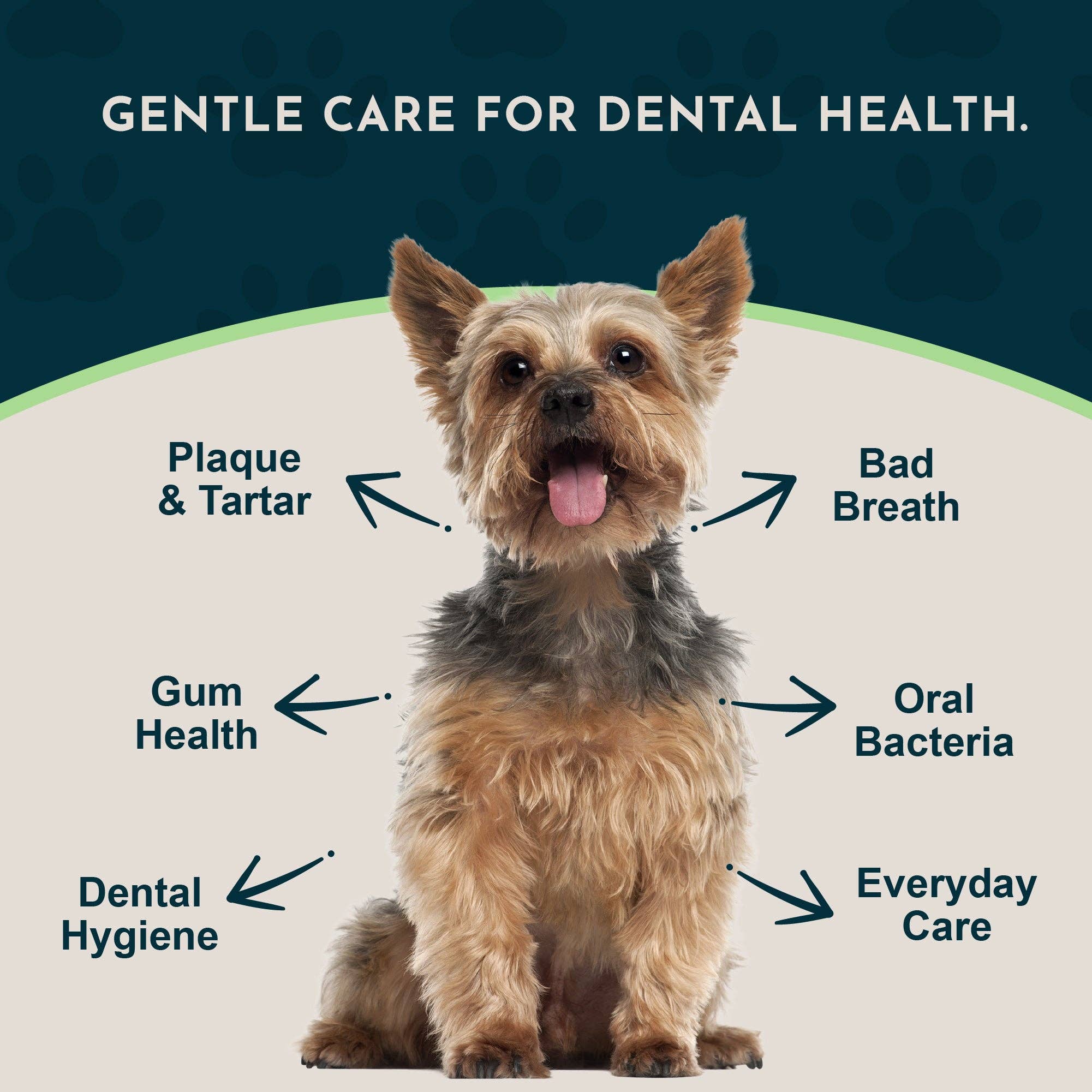 (Sea-dent) Dental Support Herbal Soft Chews | Herbal Anti-Plaque Formula | 60 Count