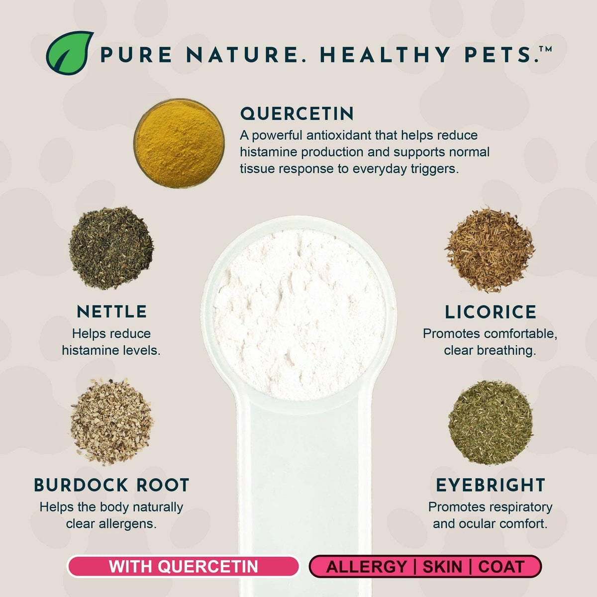 Seasonal Allergy Powder + Quercetin | Allergy Support