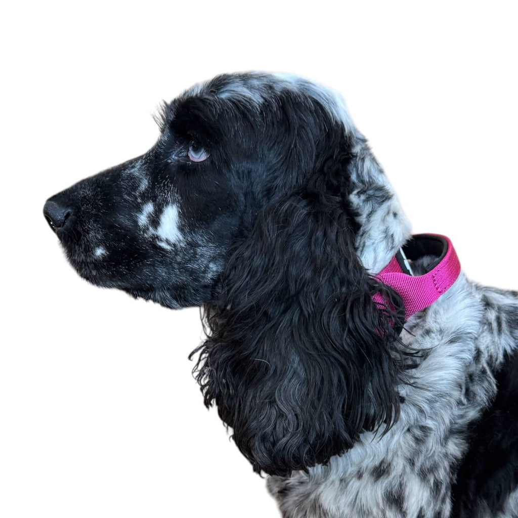 Yellow Tactical Style Dog Collar