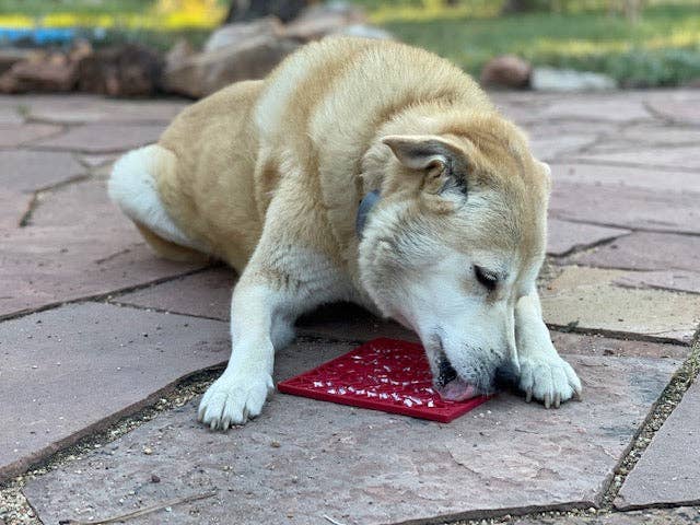 Love eMat - Enrichment Lick Mat for Dogs and Cats| Heart Design | SodaPup