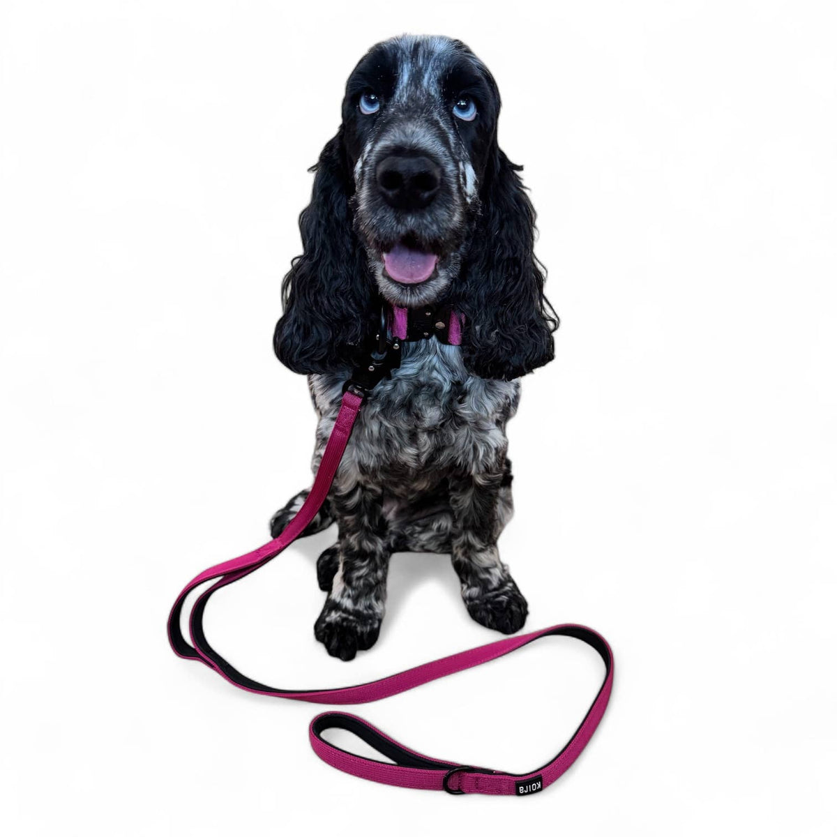 Orange Tactical Style Dog Collar