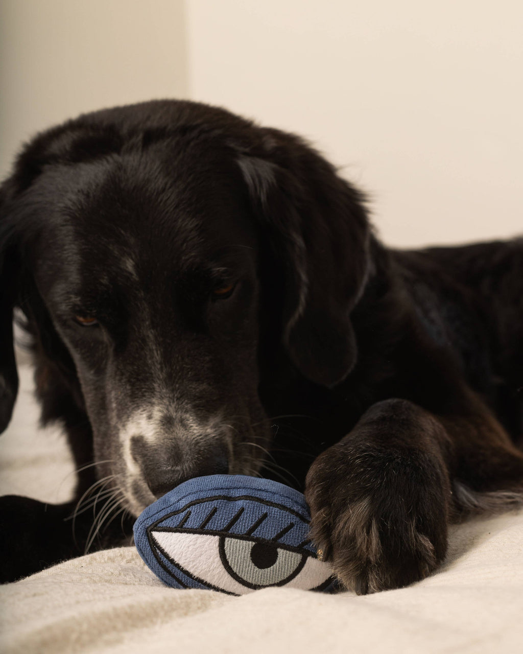 PICASSO // ENRICHMENT DOG TOY // Snuffle Set