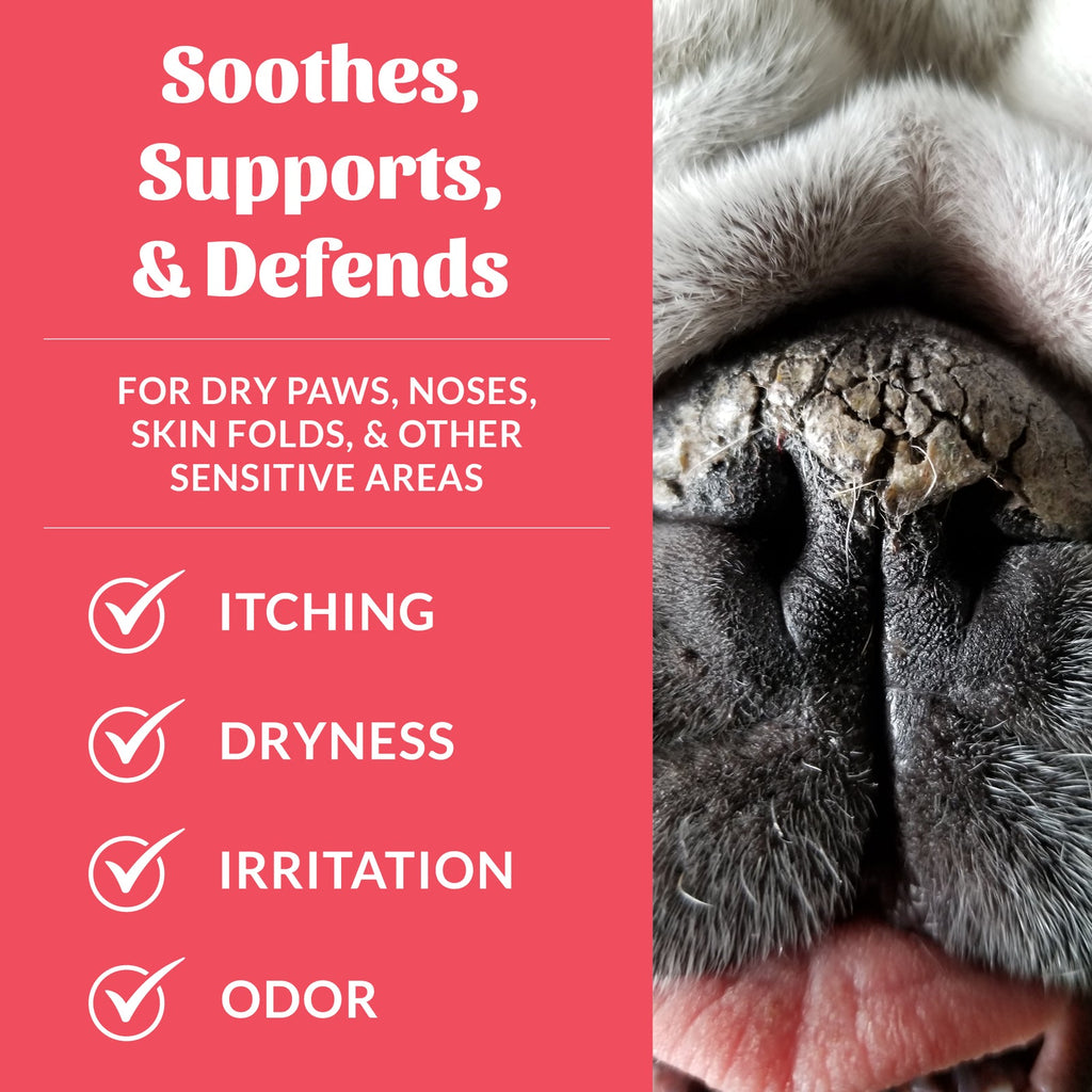 Skout's Honor | Prebiotic Pet Balm | Rochester, NY