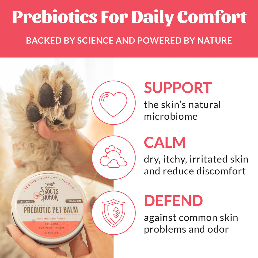 Skout's Honor | Prebiotic Pet Balm | Rochester, NY