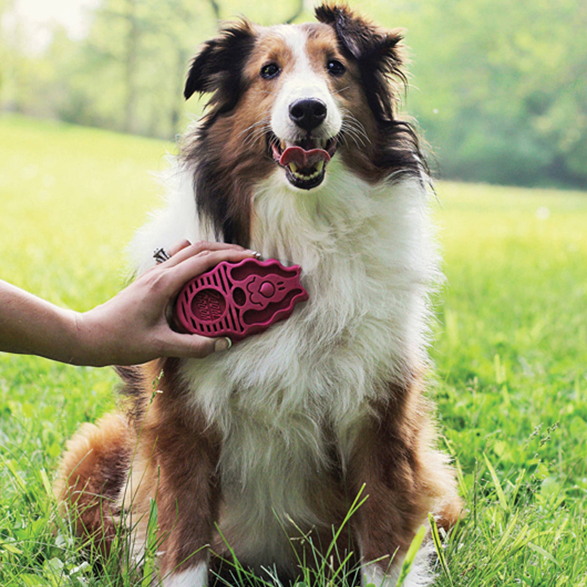 KONG® ZoomGroom® Raspberry Brush Large