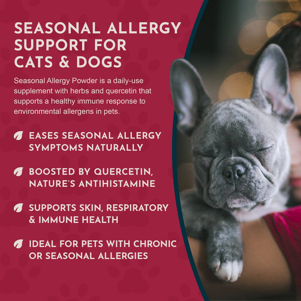 Seasonal Allergy Powder + Quercetin | Allergy Support