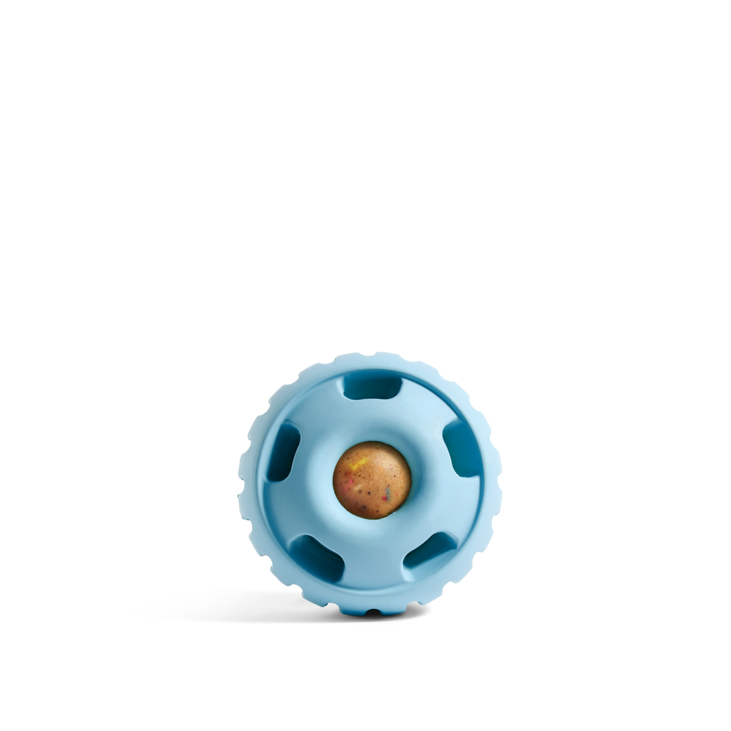 Woof | Party Pupsicle | Rochester, NY