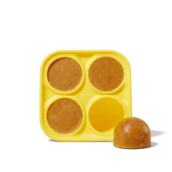 Woof | Pupsicle Treat Tray | Rochester, NY