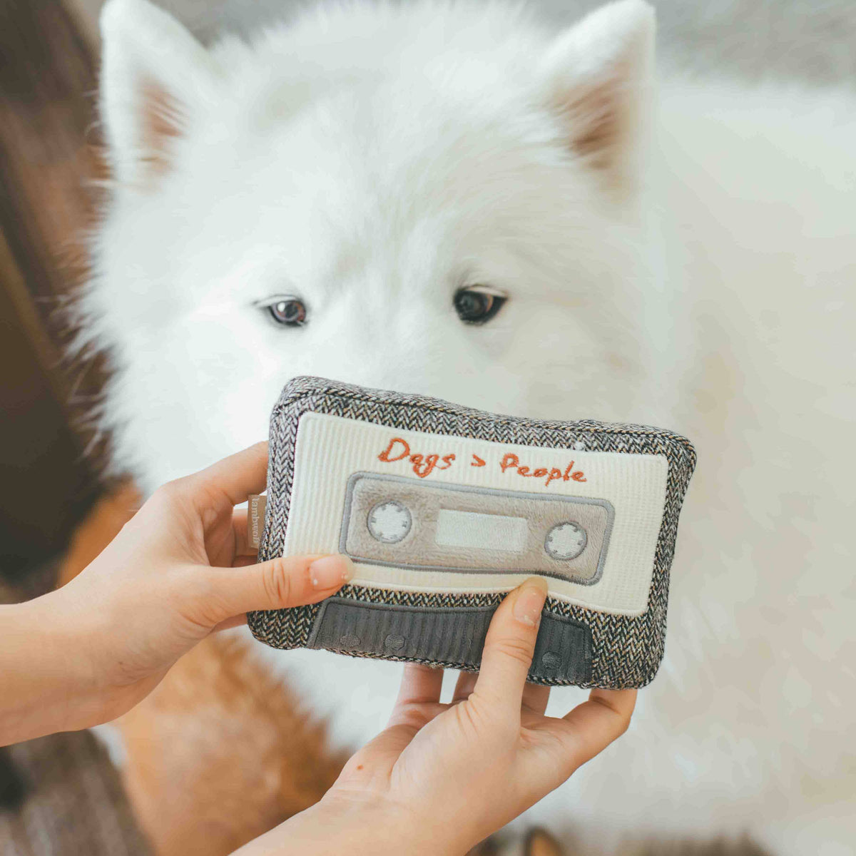 CASSETTE // ENRICHMENT DOG TOY // SNUFFLE TOY