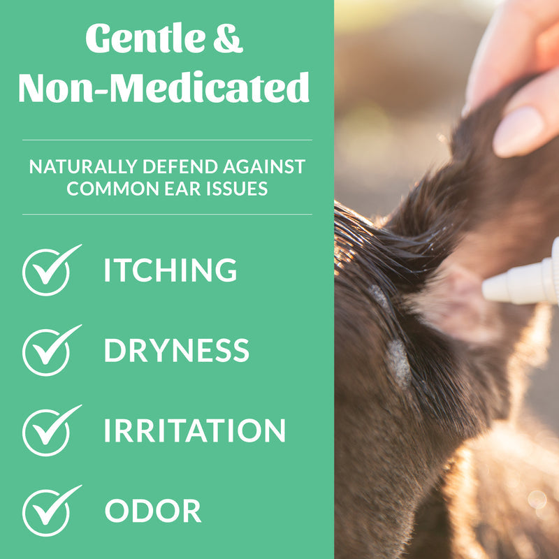 Skout’s Honor | Probiotic Ear Cleaner | Rochester, NY