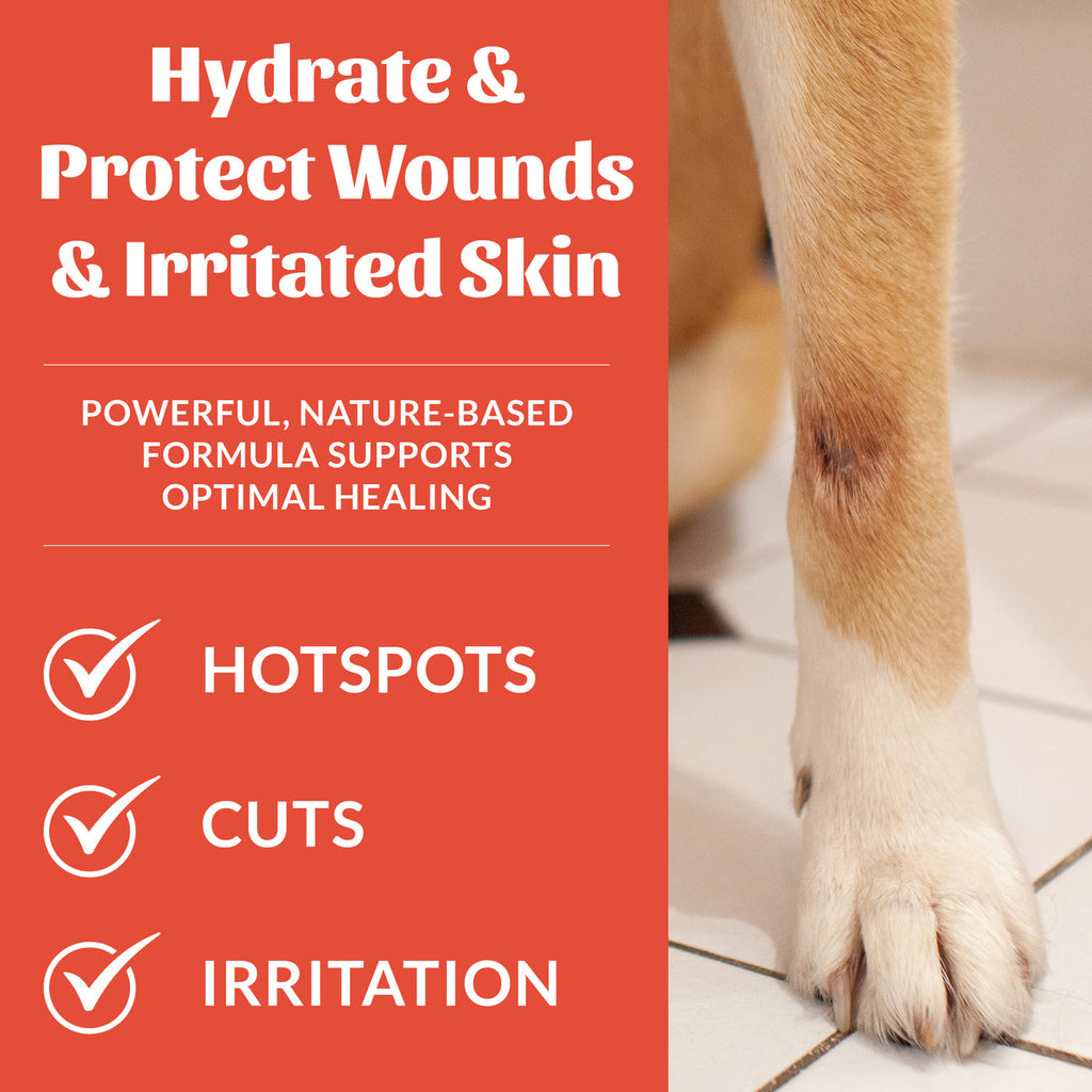 Skout's Honor | Probiotic Hot Spot Hydrogel for Dogs | Rochester, NY