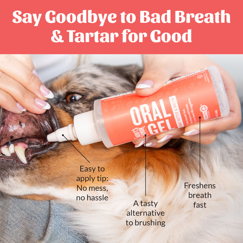 Skout’s Honor | Oral Gel – Peanut Butter & Bacon | Rochester, NY