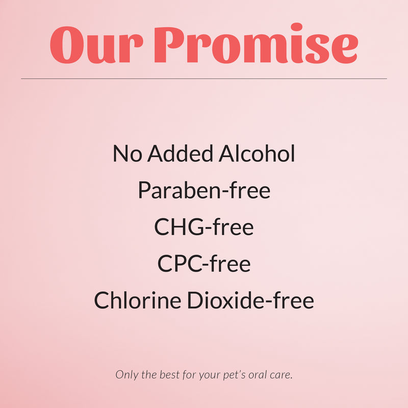 Skout’s Honor | Oral Gel – Peanut Butter & Bacon | Rochester, NY