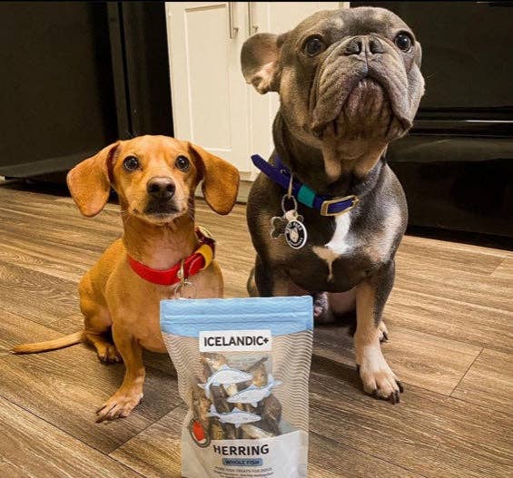 Herring Whole Fish Dog Treats