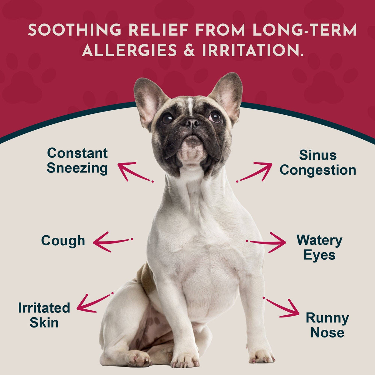 Seasonal Allergy Herbal Soft Chews | Herbal Allergy Support Formula | 60 Count
