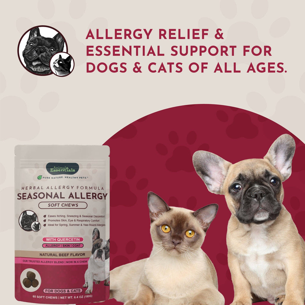 Seasonal Allergy Herbal Soft Chews | Herbal Allergy Support Formula | 60 Count