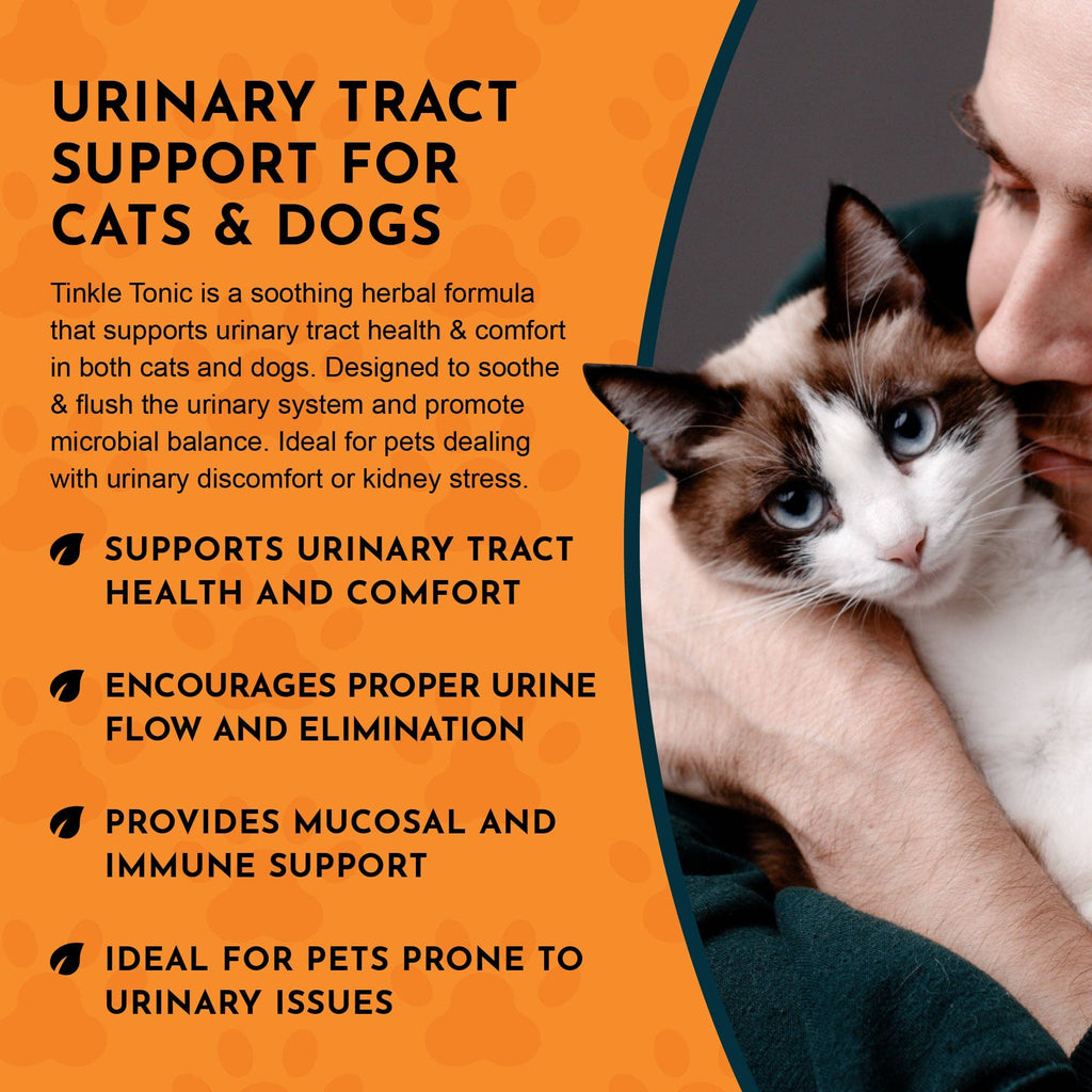 Tinkle Tonic Herbal Tonic Blend | Urinary Tract Support