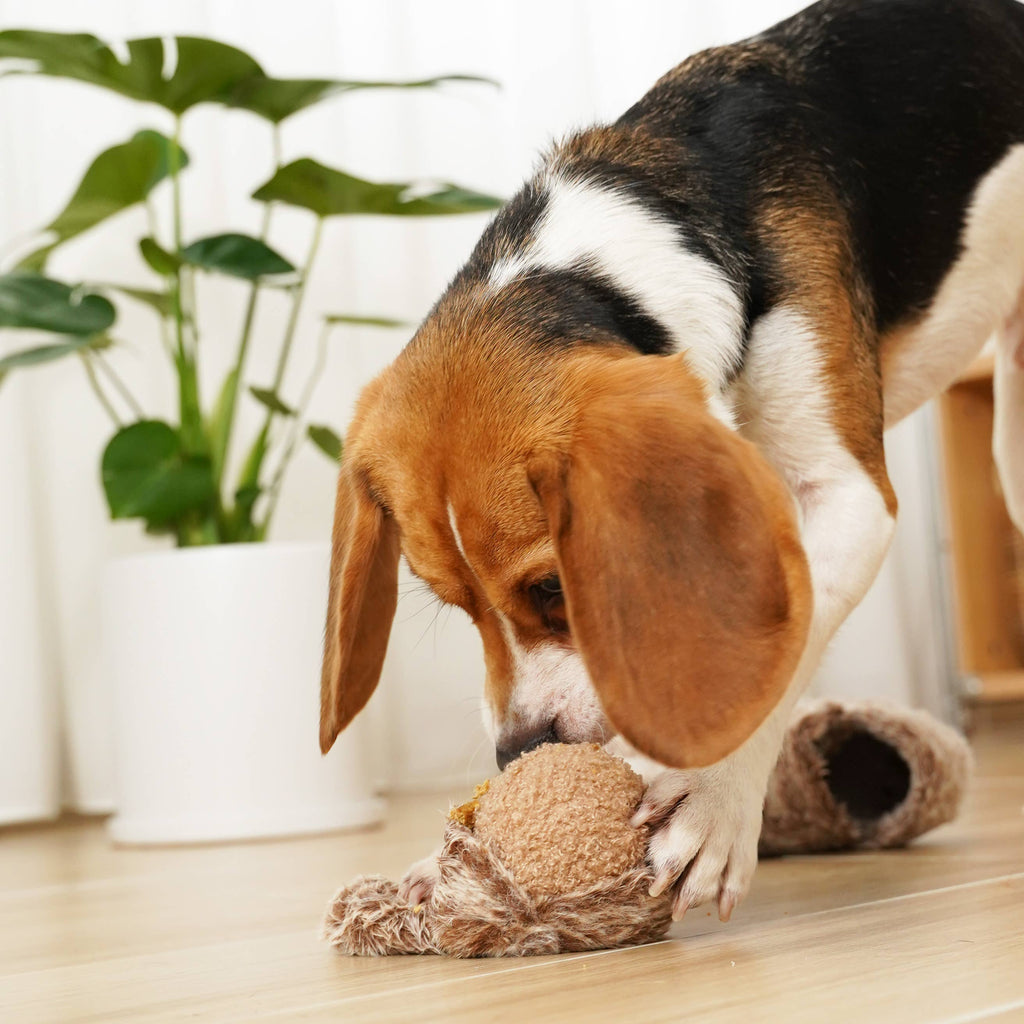 SQUIRREL POP // ENRICHMENT DOG TOY // Squeaky Ball
