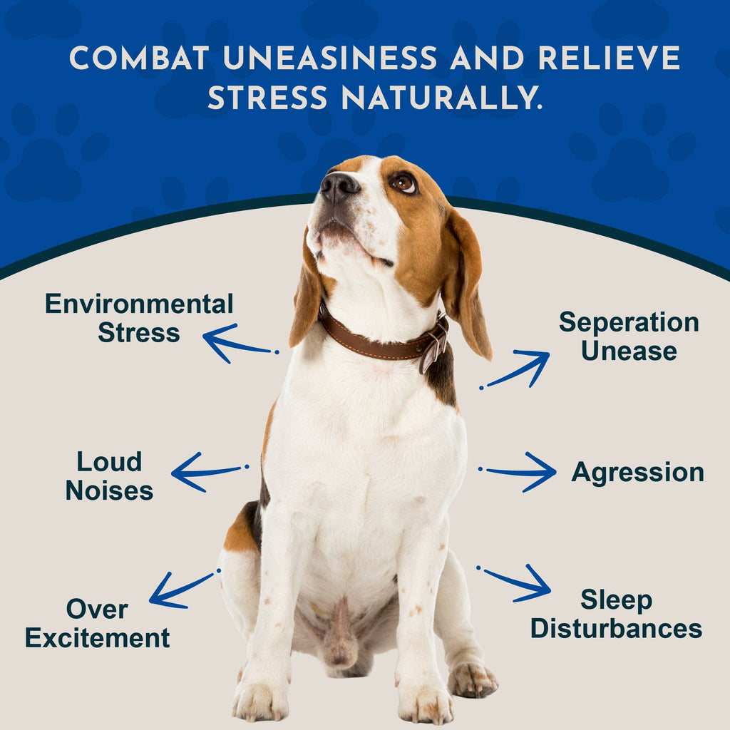 Tranquil Times Herbal Tonic Blend | Stress and Calm