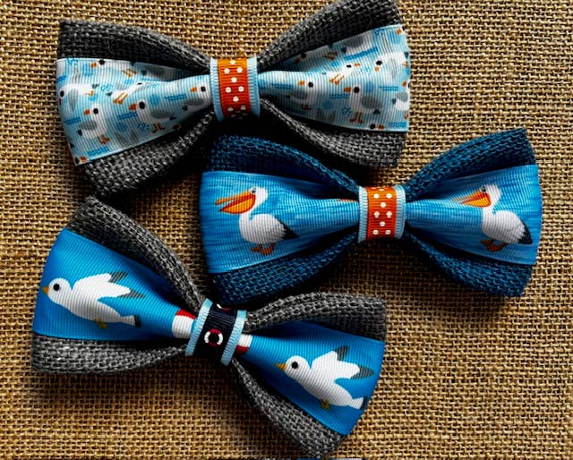 Seagulls & Pelicans Bundle 5"
