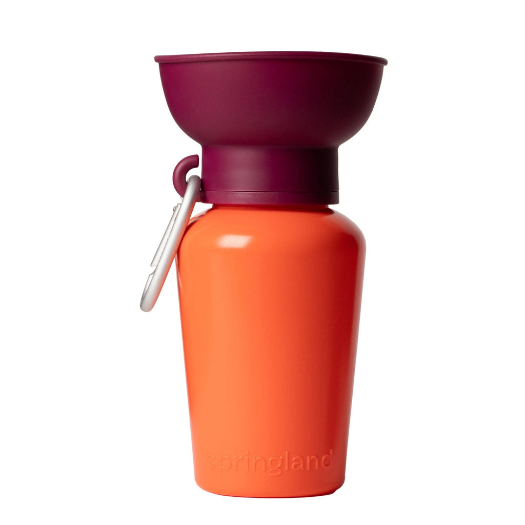 Limited-Edition Summer 2026 Mediterranean Collection Travel Water Bottles