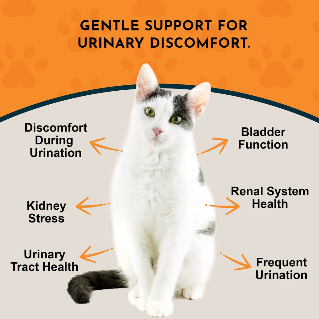 Tinkle Tonic Herbal Tonic Blend | Urinary Tract Support
