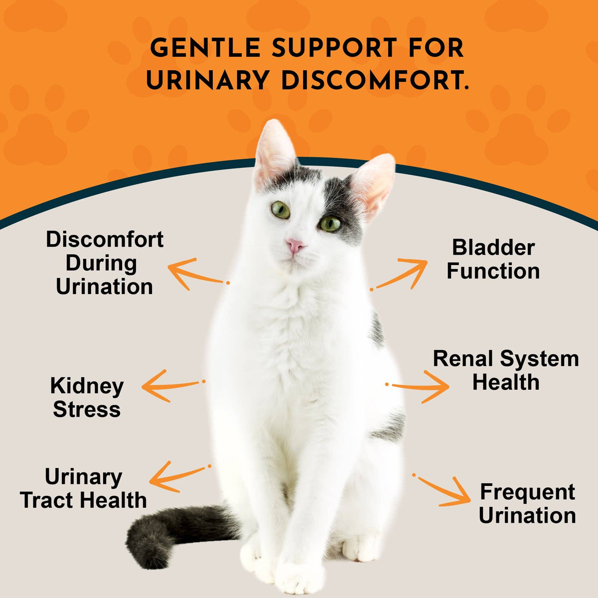 Tinkle Tonic Herbal Tonic Blend | Urinary Tract Support