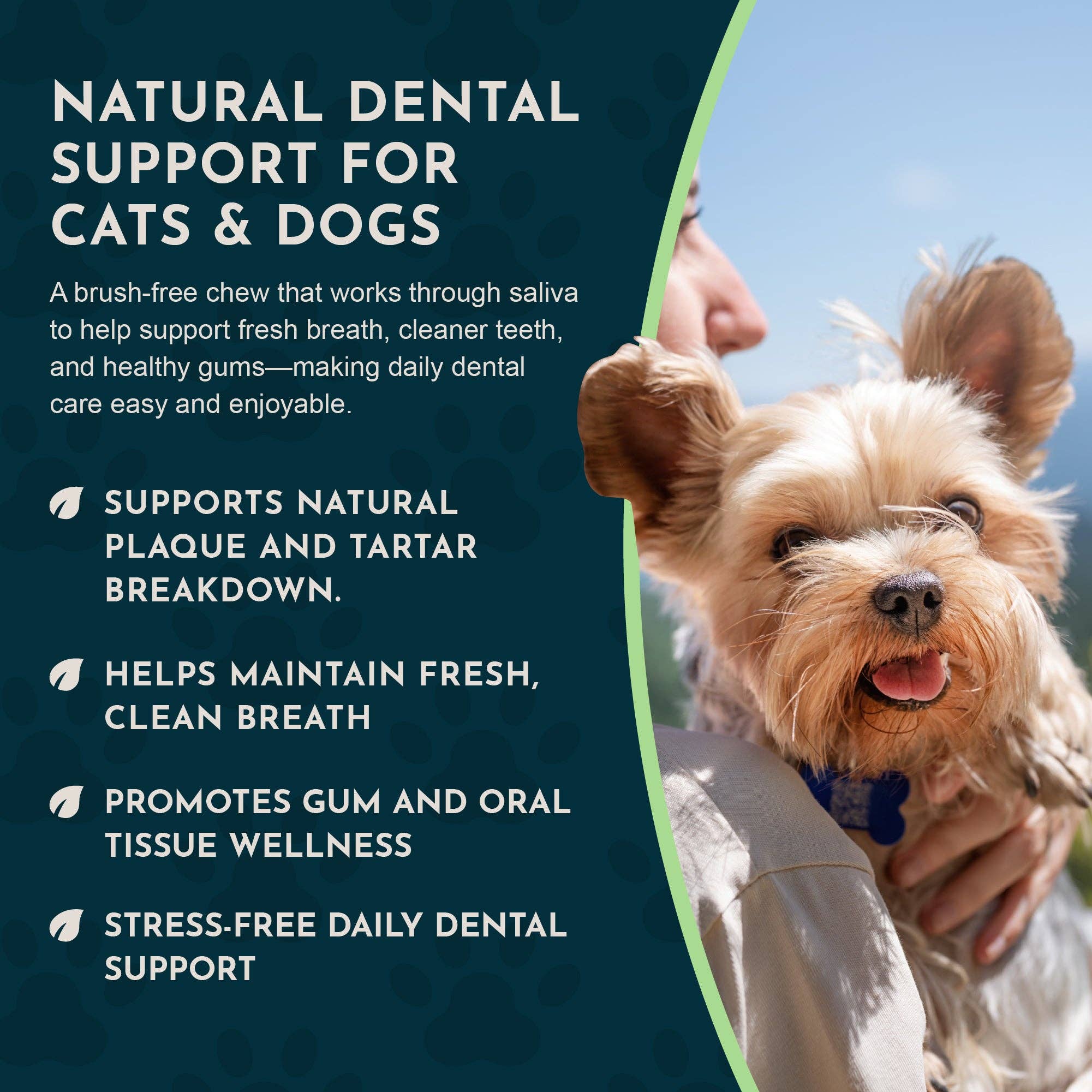 (Sea-dent) Dental Support Herbal Soft Chews | Herbal Anti-Plaque Formula | 60 Count