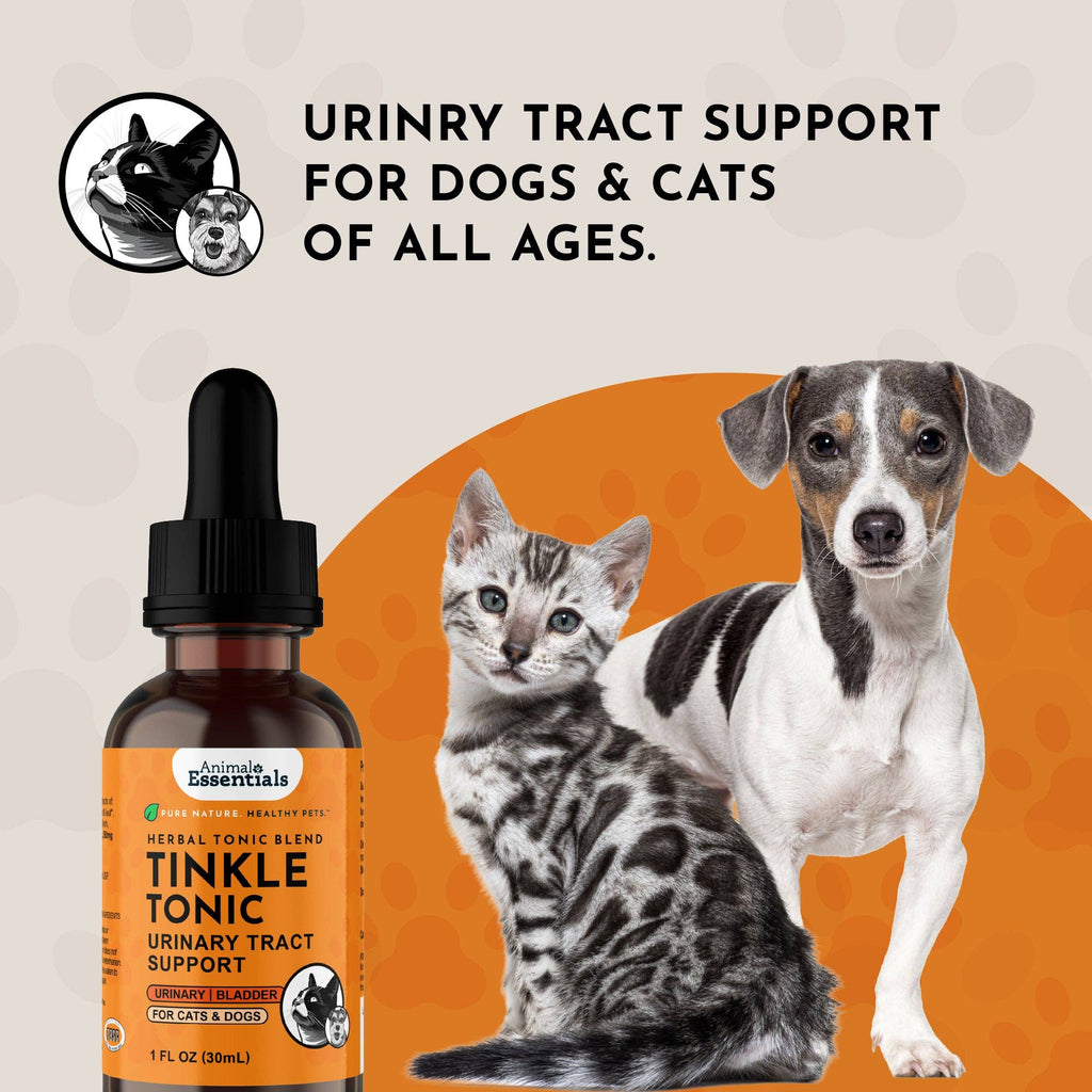 Tinkle Tonic Herbal Tonic Blend | Urinary Tract Support