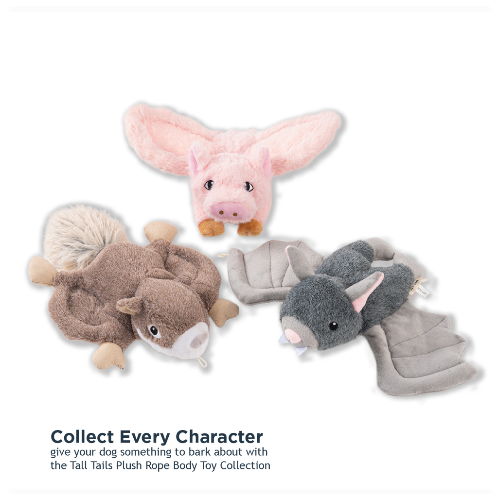 Tall Tails Squirrel Fling and Fetch Toy for Dogs