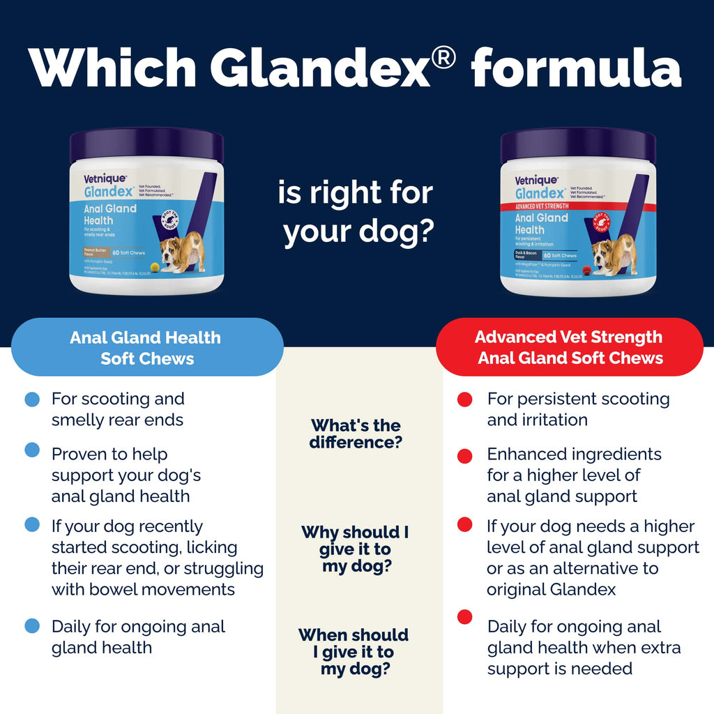 Glandex Anal Gland Support Soft Chews Peanut Butter 120ct