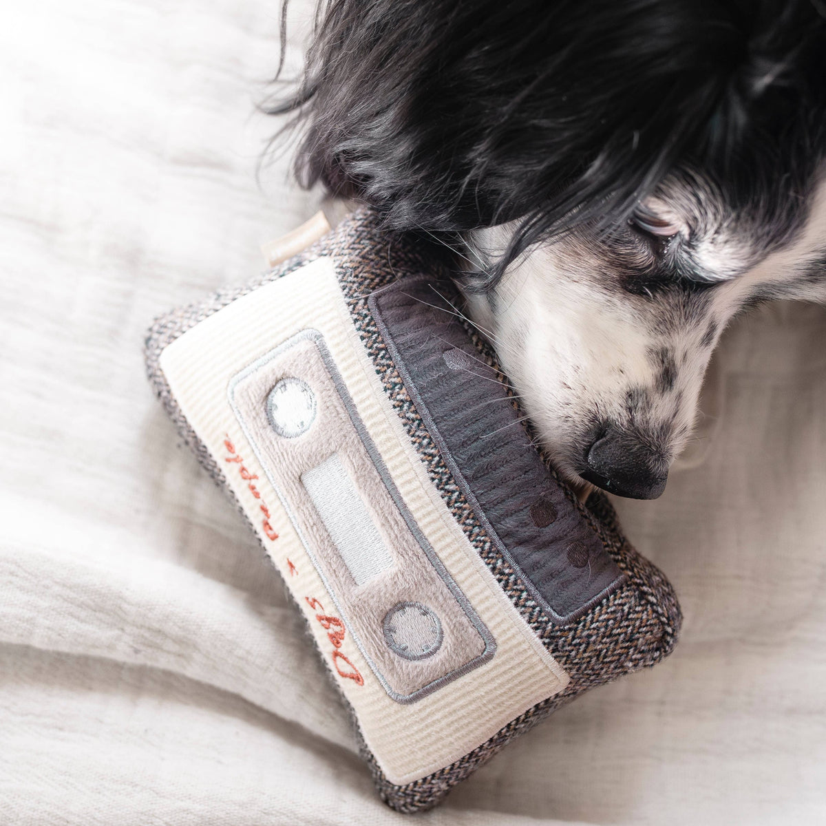 CASSETTE // ENRICHMENT DOG TOY // SNUFFLE TOY