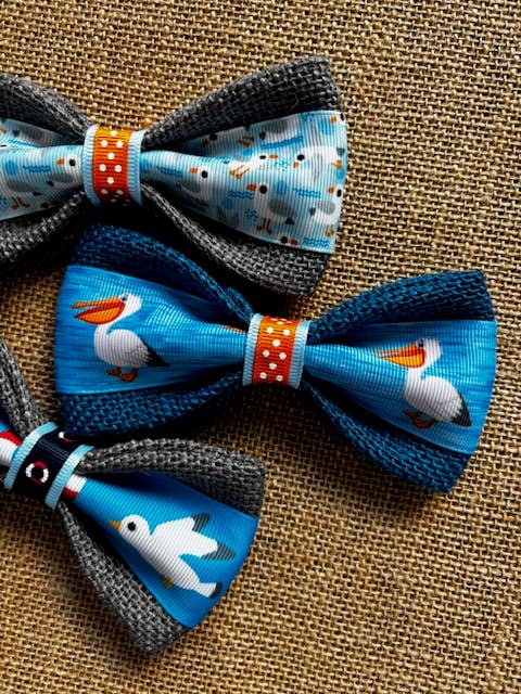 Seagulls & Pelicans Bundle 5"
