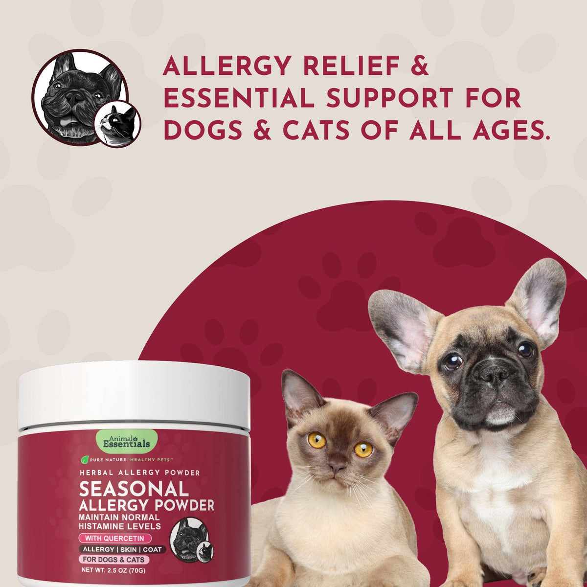 Seasonal Allergy Powder + Quercetin | Allergy Support