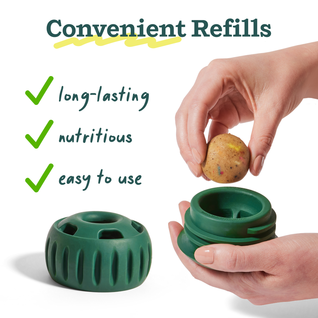 Woof | All-in-1 Wellness Pops | Rochester, NY