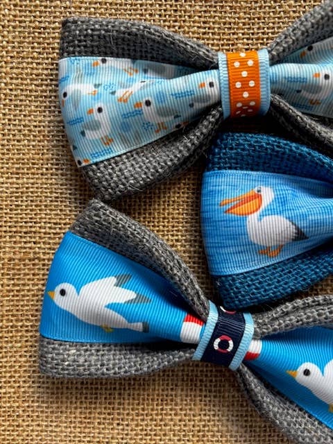 Seagulls & Pelicans Bundle 5"