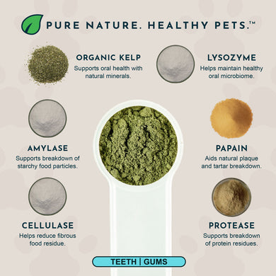 Animal Essentials | Sea-Dent Anti-Plaque Powder | Rochester, NY