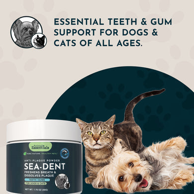 Animal Essentials | Sea-Dent Anti-Plaque Powder | Rochester, NY