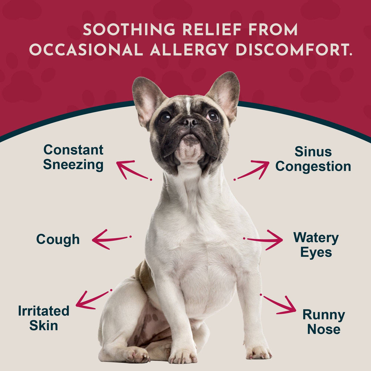 Seasonal Allergy Herbal Tonic | Maintains Normal Histamine Levels