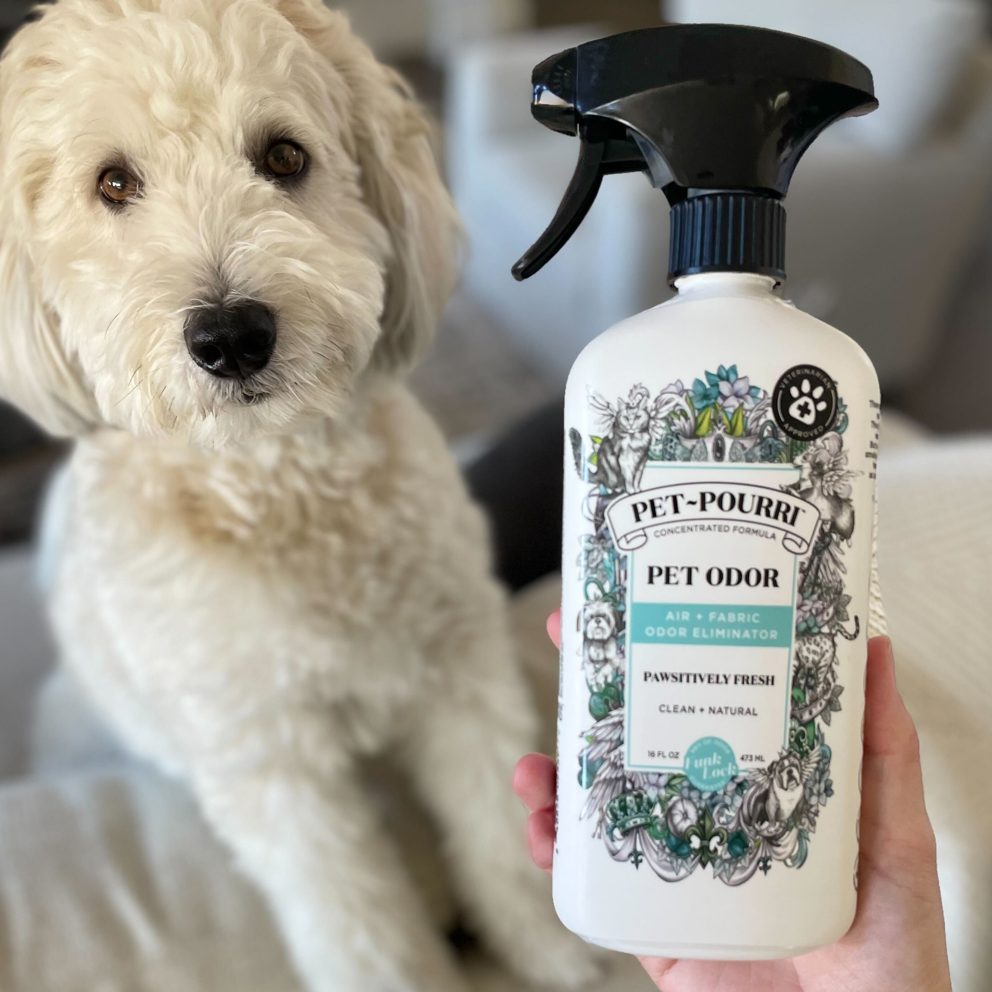 Pet~Pourri | Pawsitively Fresh Air+Fabric Odor Refresher | Rochester, NY