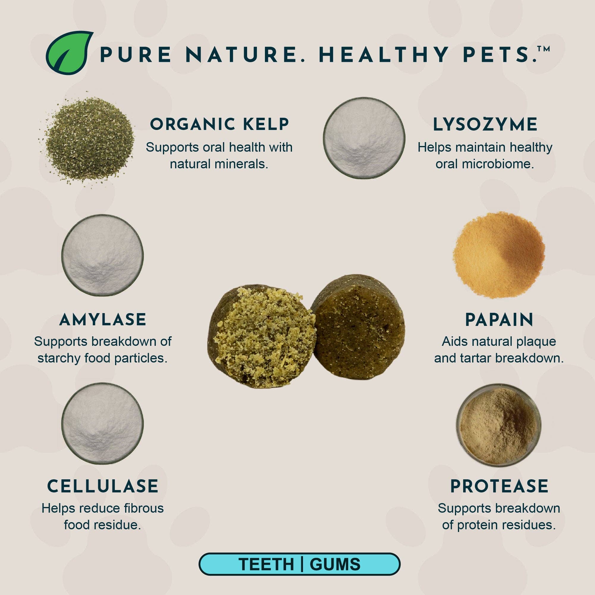 (Sea-dent) Dental Support Herbal Soft Chews | Herbal Anti-Plaque Formula | 60 Count