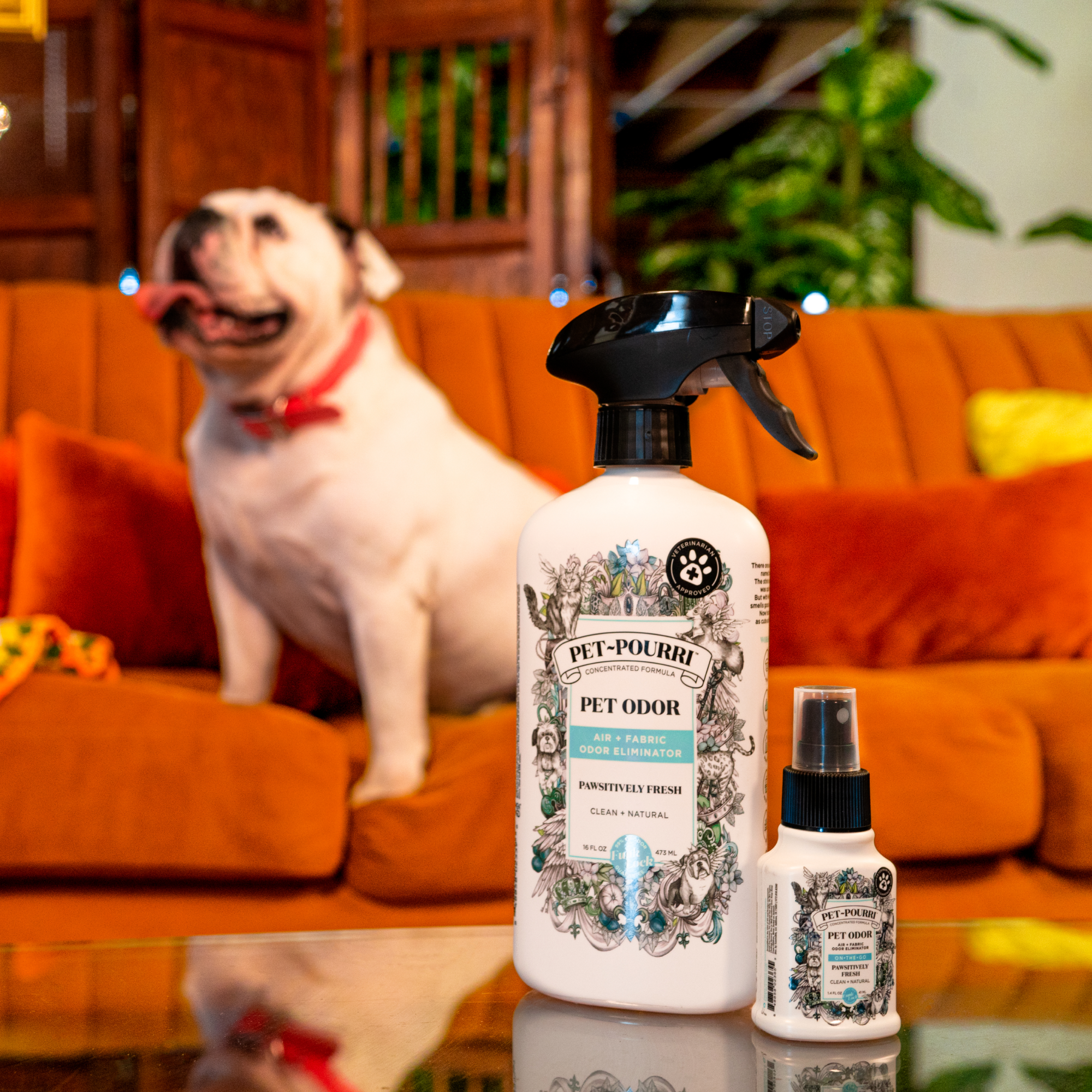 Pet~Pourri | Pawsitively Fresh Air+Fabric Odor Refresher | Rochester, NY