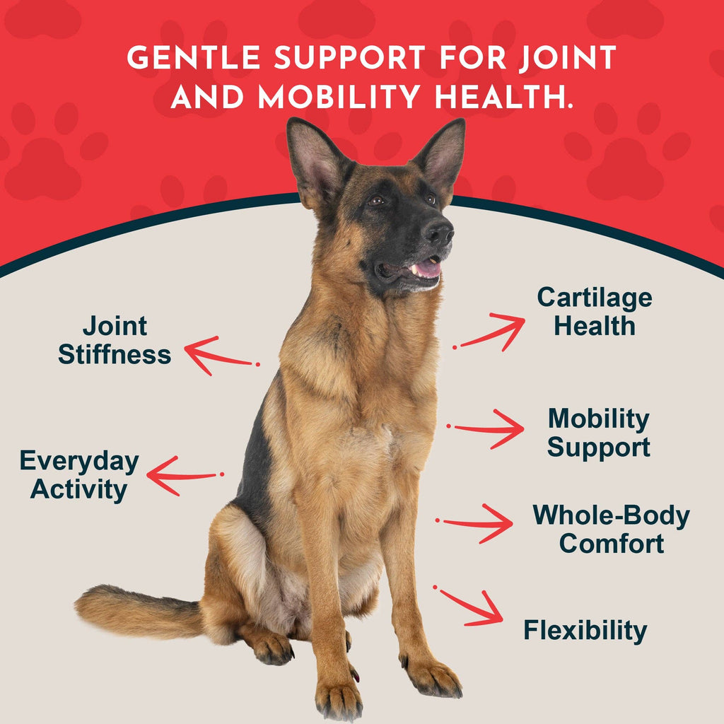 Joint Support Herbal Tonic Blend | Helps Stiffness and Soreness