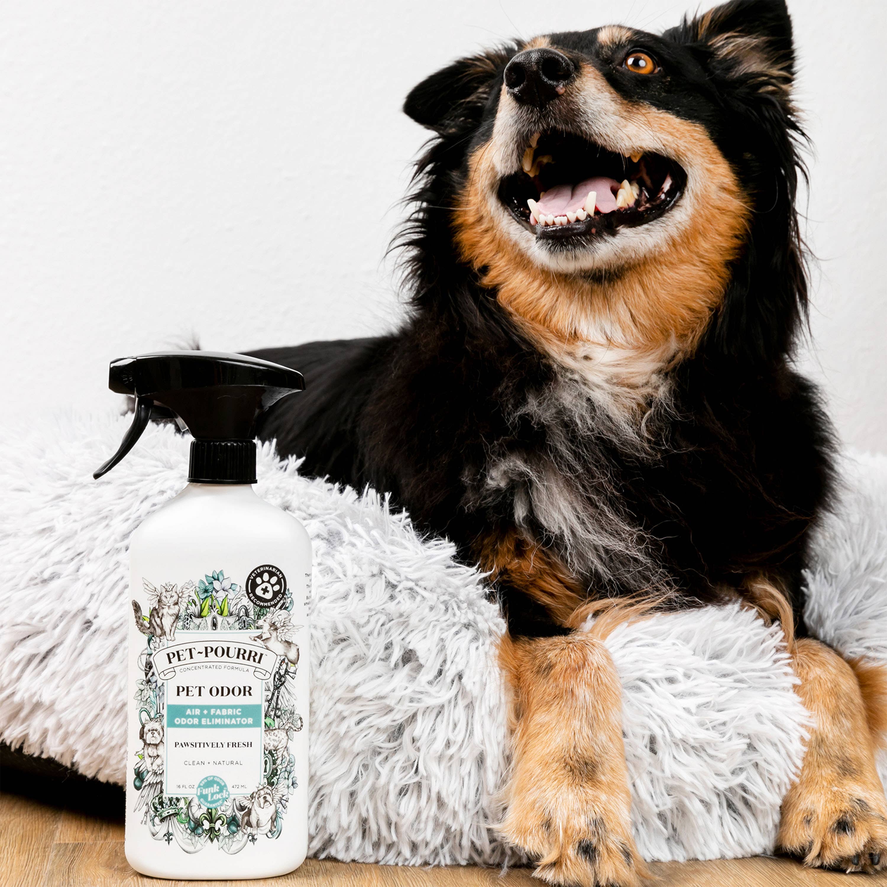 Pet~Pourri | Pawsitively Fresh Air+Fabric Odor Refresher | Rochester, NY