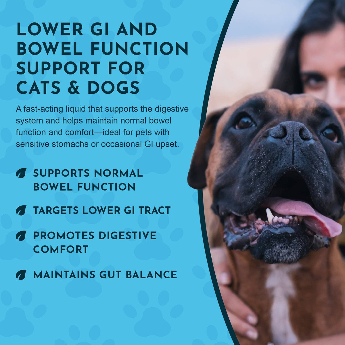 Colon Rescue Herbal Tonic | Supports Normal Bowel Function